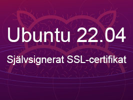Hur Man Skapar Ett Självsignerat SSL-Certifikat För Apache